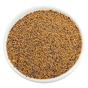 菟丝子中药材500g内蒙野生正品旗舰店菟丝子泡水泡茶泡酒兔丝子