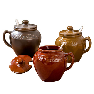 盐罐陶瓷罐调料罐家用厨房老式防潮带盖猪油罐耐高温勺子辣椒油罐