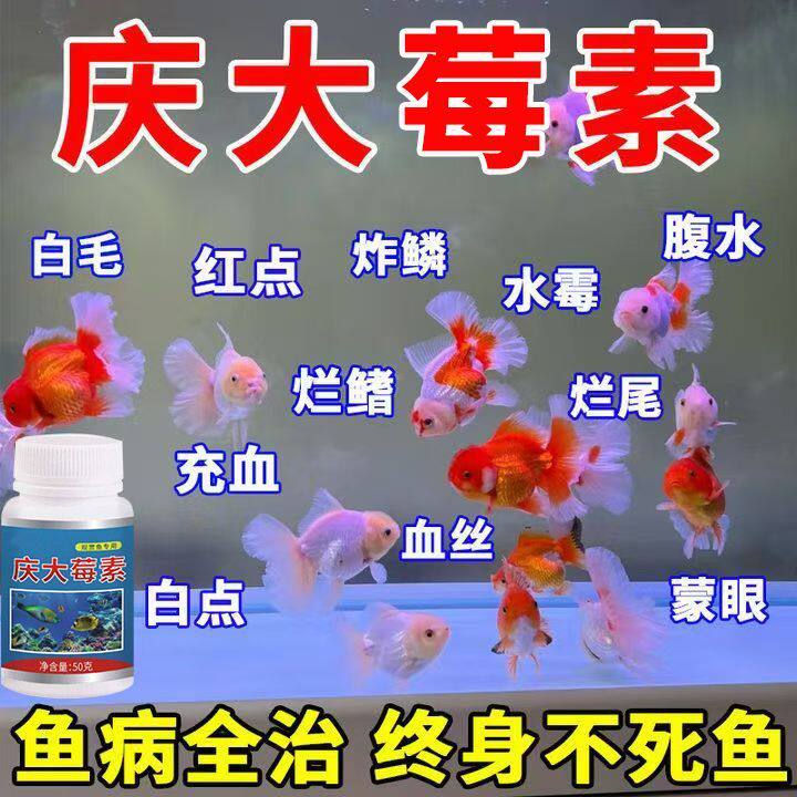 庆大霉素鱼病专用药烂身烂尾白点白毛掉磷蒙眼杀菌消炎康复消毒药