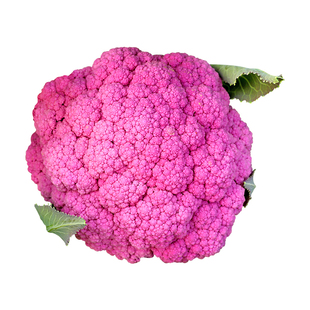 紫色花椰菜紫晶一号紫花1号 种子彩色花菜菜花特色菜蔬菜种籽孑