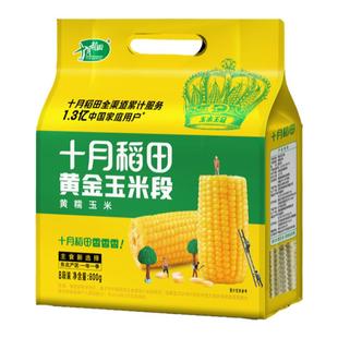 十月稻田黄金玉米段800g免切低脂黏糯黄糯玉米新鲜苞米东北官方
