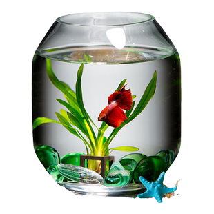 玻璃鱼缸金鱼缸水培小型桌面客厅斗鱼缸迷你水族箱造景