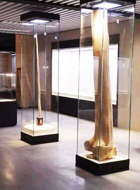 博物馆展示柜金属玻璃恒温恒湿展品精品展柜货柜定制不锈钢展示柜