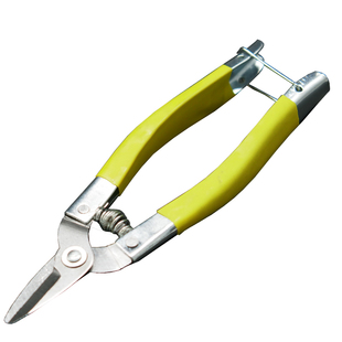 修枝剪修花剪刀枝剪采果园艺家用柑橘桔子刀剪葡萄专用圆头小嘴