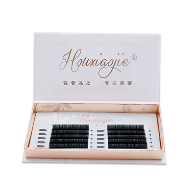 侯小姐LC型狐系睫毛嫁接不散根