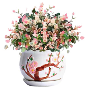 花叶络石四季五彩花卉盆栽彩络叶吊篮阳台爬藤苗绿植庭院植物垂吊