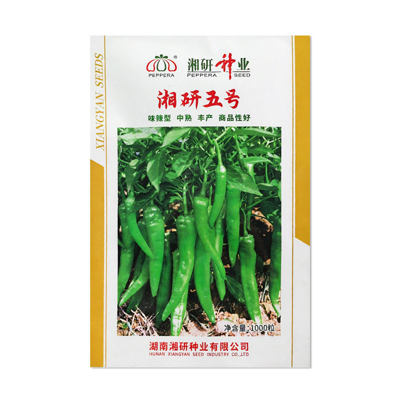 湘研五号辣椒种子牛角椒