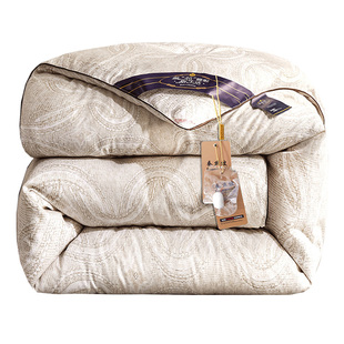 加厚桑丝被冬被丝棉被芯保暖冬天被子双人春秋被太空调被全棉冬季