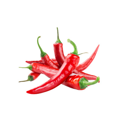 精选朝天椒苗基地直发盆栽