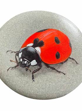 石头画成品瓢虫生日礼物桌面