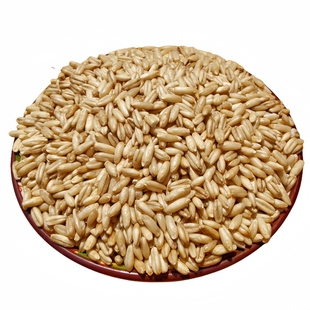 燕麦米鹦鹉粮新燕麦鸟粮饲料小太阳虎皮牡丹玄凤专用燕麦仁雀鸟食