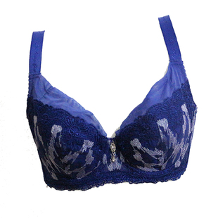 黛丽世家文胸专柜正品聚拢火山石全杯大胸舒适薄杯调整内衣D6019