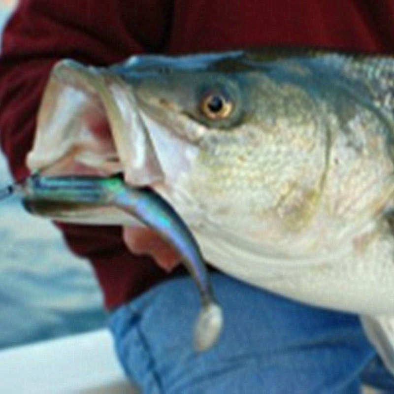 路亚铅头钩软饵t尾仿生包背钩防挂底30g海钓鲈黄鲣马鲛金枪鱼假饵