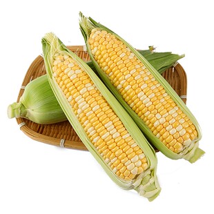新鲜云南水果甜玉米新鲜现摘金银玉米新鲜玉米可榨汁即食现摘带皮