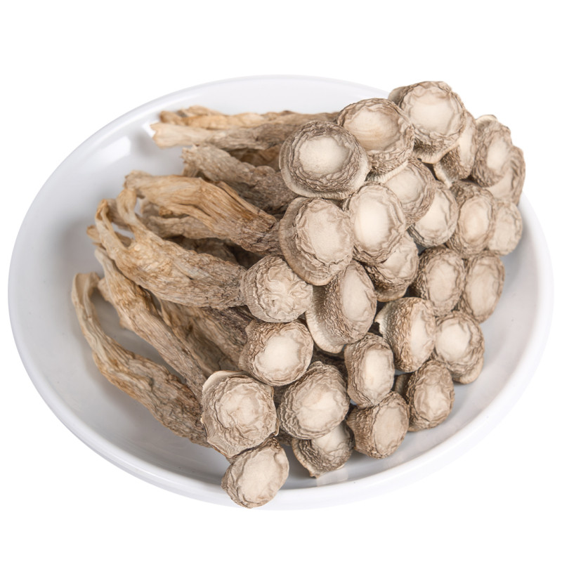 鹿茸菇优质鹿茸菌煲汤鹿茸菇脆
