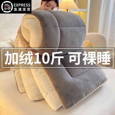 羊羔绒被子2025新款冬季棉被被芯冬天单人宿舍秋冬被加厚保暖10斤