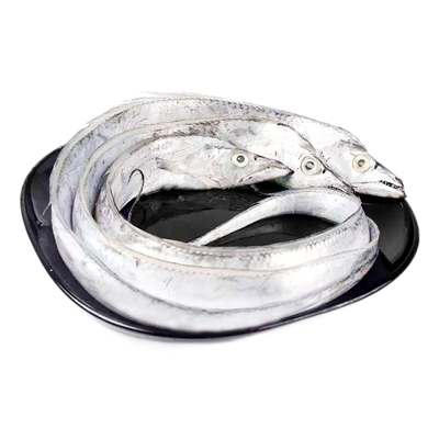 海鼎纪舟山小眼带鱼无冰