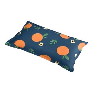 荞麦枕头双层拉链枕芯荞麦壳填充单人儿童学生成人家用可拆洗枕头