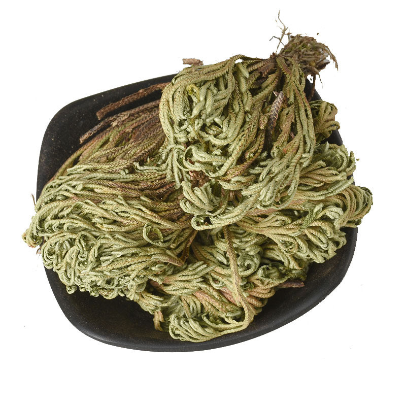 卷柏九死还魂草中药材还阳草正品