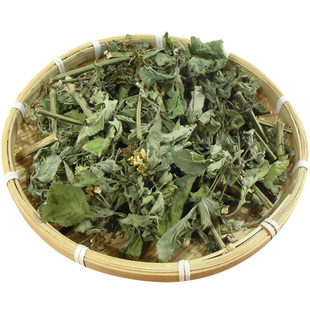 新货晒干鬼针草茶中药材新鲜深山天然黄花鬼钗草婆婆针中草药凉茶