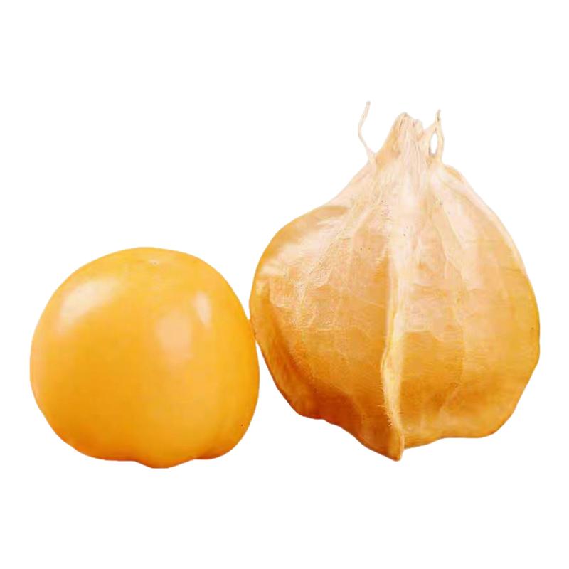 新鲜菇娘果灯笼果力荐5斤包邮