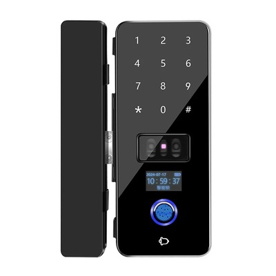 3D人脸识别玻璃门指纹密码锁