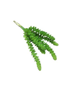 多肉植物6头微景观盆栽插花钱串