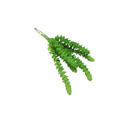 多肉植物6头微景观盆栽插花钱串