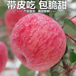 觅上脆甜多汁正宗陕西红富士苹果新鲜水果当季脆甜冰糖心苹果包邮