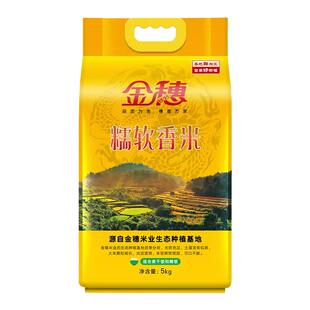 金穗金润籼米新米晚稻煲仔饭炒饭软糯香米煮饭10斤大米金穗大米