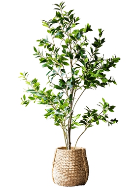 掬涵月桂树大型仿真盆景仿真植物