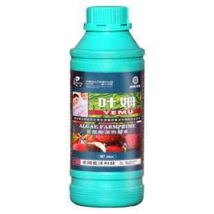 杨梅树专用肥料杨梅营养液催熟催红增硬促花肥料保花保果药防落果