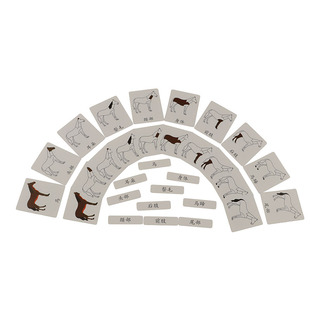 蒙氏语言教具三部卡三段卡早教益智玩具蒙特梭利幼儿园儿童纺织鼓