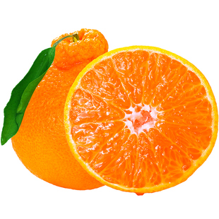 四川不知火丑橘高山新鲜水果当季丑粑粑八怪蜜耙耙桔子柑整箱包邮