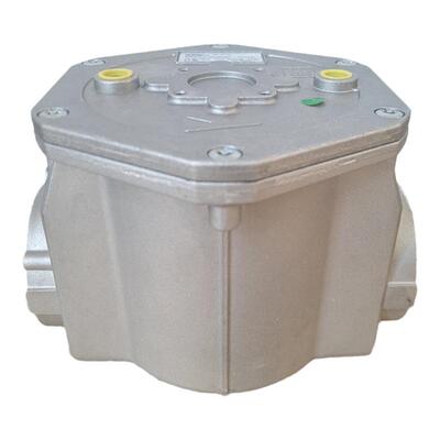 菲奥燃气过滤器10601煤气