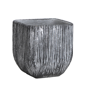 鲜花花卉盆栽室内多肉植物发财树巴西木兰花陶瓷创意水泥花盆托盘