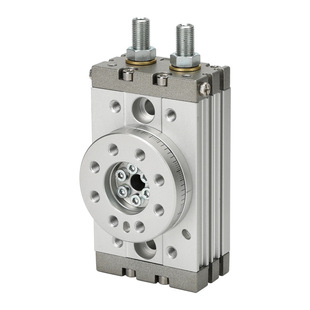 德力西气动90/180度摆动旋转气缸MSQB-10-20-30-50-100-200-A-R