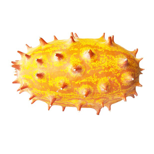 新鲜火参果4个当季水果新奇非洲刺角瓜海参果火星果孕妇儿童罕见