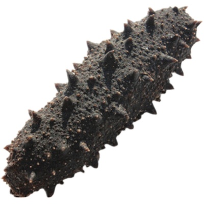 小海实心海参深海纯淡干长岛自捕