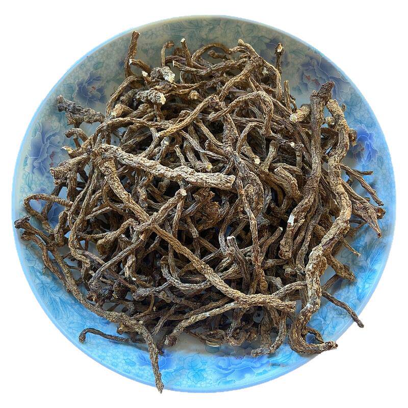蒲公英纯根部老根无添加整条根
