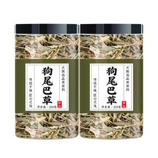 狗尾巴草新鲜干货中药材正品官方旗舰店光明草九尾点痣野生狗尾草