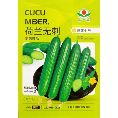 绿领矮将军888矮脚黄种子20克