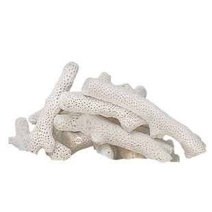 优选大珊瑚骨滤材优质天然珊瑚石鱼缸过滤材料水族箱底砂净水造景