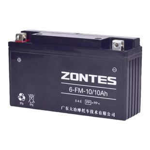 适用升仕ZT310-X1-X2-T1-T2-R1-R2/升仕350ZONTES启典KD150-U电瓶