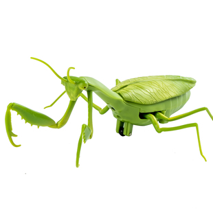 遥控螳螂电动仿真玩具抖音整蛊神器蟑螂男孩会动的蜘蛛爬行小动物