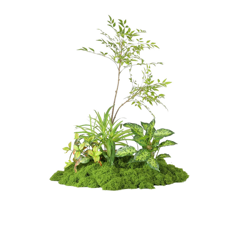 仿真绿植造景室内苔藓小景观组合