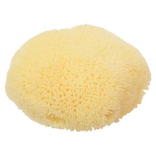 希腊进口天然海绵洗脸洁面扑清洁神器卸妆专用婴儿洗脸扑丝绒海绵