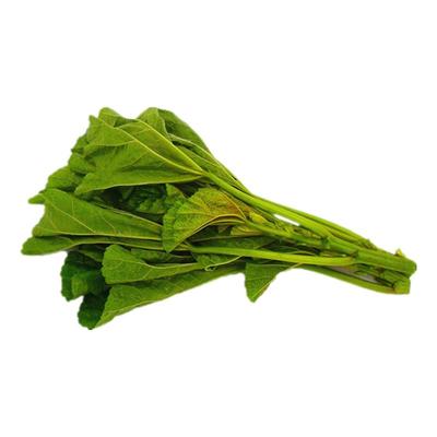 四川农家冬寒菜新鲜冬马蹄菜时令