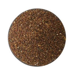 秦艽种子实体店专业销售中药材秦艽种子新籽 秦玖秦九种子亩用2斤