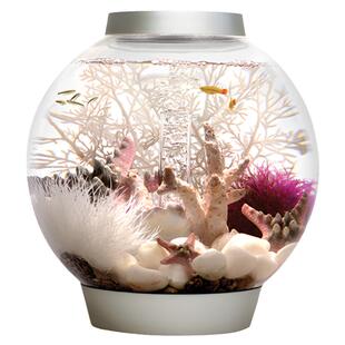 碧欧宝biorb亚克力鱼缸客厅小型家用水族箱客厅摆件2026新款旗舰